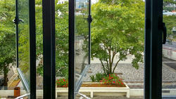 Carissa Park Condominium (D17), Condominium #173614292